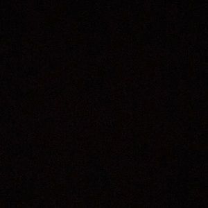 Meet your Posher, Dylan